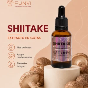 Shiitake Gota