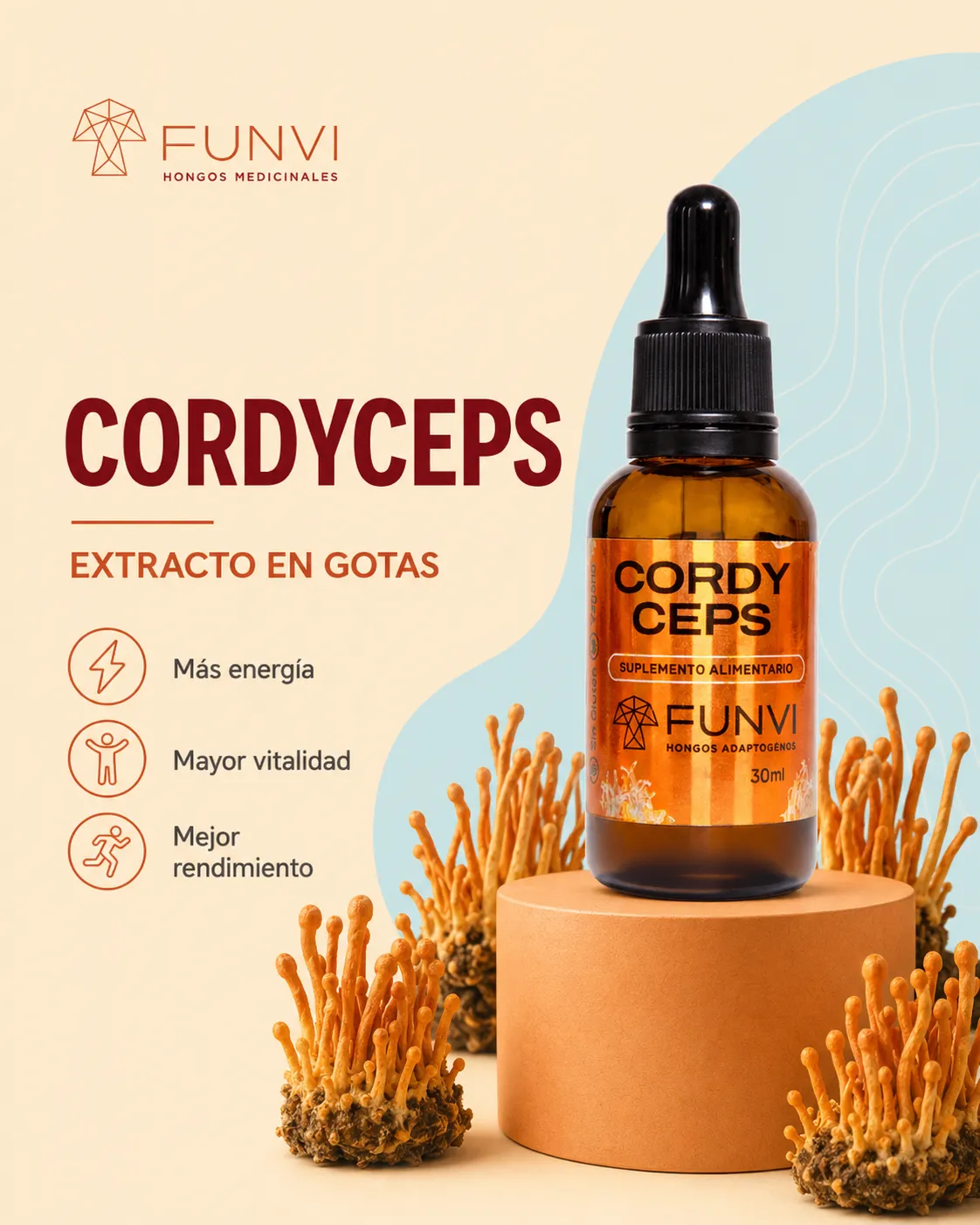 Cordyceps Gota