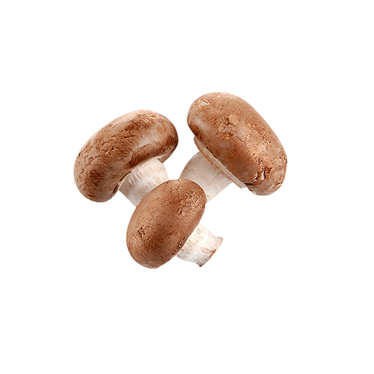 kisspng-shiitake-common-mushroom-hen-of-the-wood-fresh-vegetables-and-mushrooms-5aabc447a15b61.7710708315212063436609